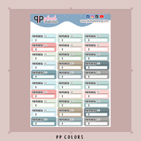 Paycheck Tracker Planner Stickers