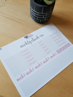 7x9 Planner Size Weekly Check-In Budget Stickers with Washi Stickers