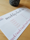 8.5x11 Planner Size Weekly Check-In Budget Stickers with Flags Budget Stickers