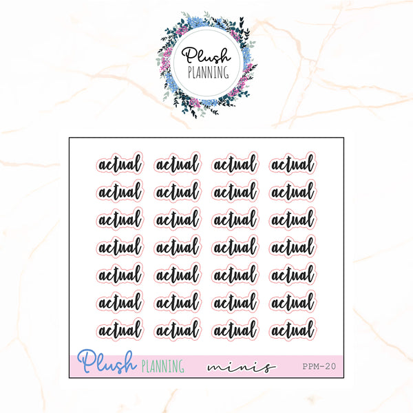 ACTUAL SCRIPTS Budget Planner Stickers, Minis Collection