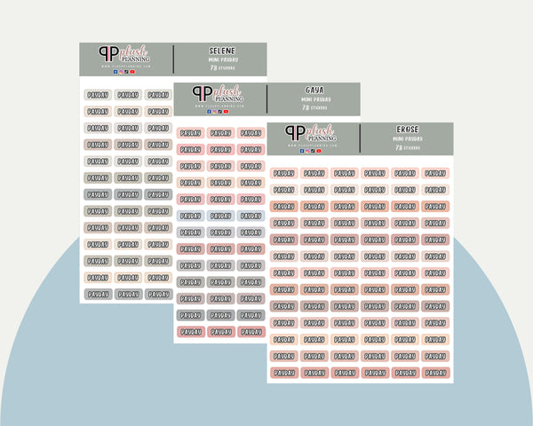Mini Payday Tracker Planner Stickers, Minimalist Collection, Functional Stickers, Budget Tracker, Plush Planning